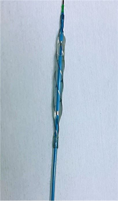 PTA femen balon Katete